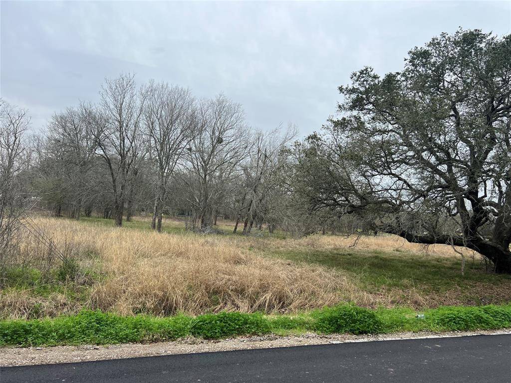 Rosharon, TX 77583,0 Fenn Rd