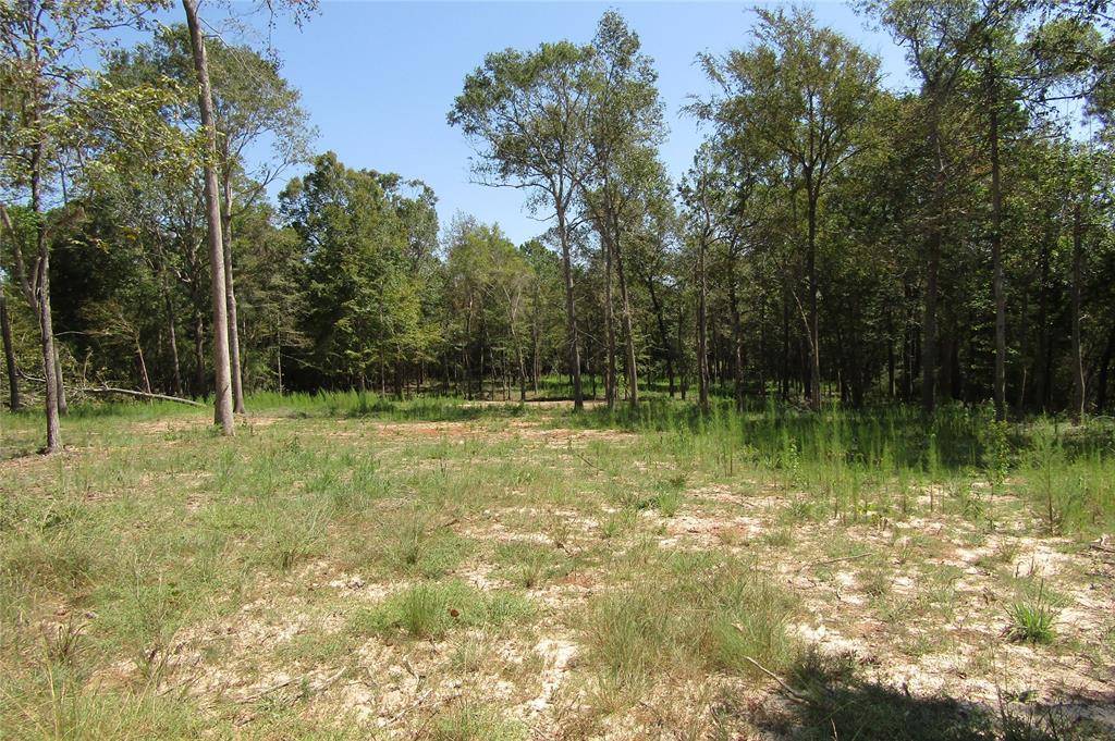 Livingston, TX 77351,TBD01 Wood Haven