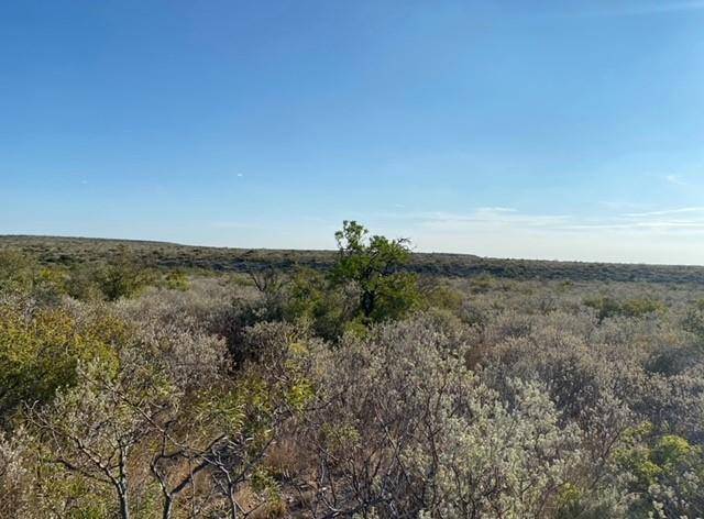 Comstock, TX 78837,216 Neshoba SPUR