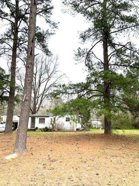 Magnolia, TX 77354,31034 Pine Knot RD