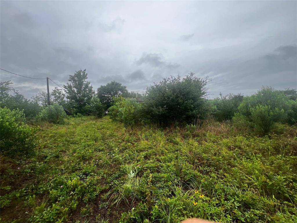 Hungerford, TX 77448,5414 Baldwin RD