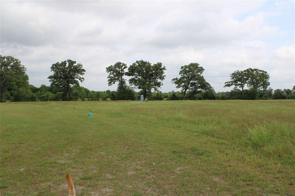 Bedias, TX 77831,23889 Highway 30