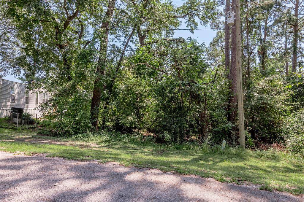 Point Blank, TX 77364,Lot 6 Evergreen CIR