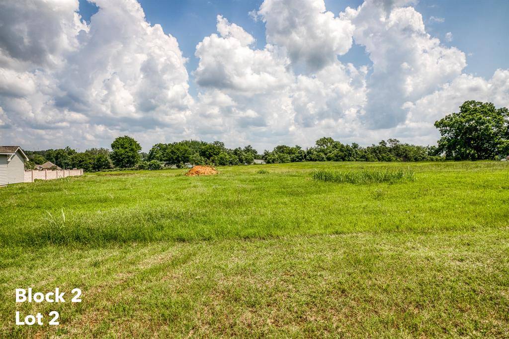 Brenham, TX 77833,2434 Oak Hollow LN