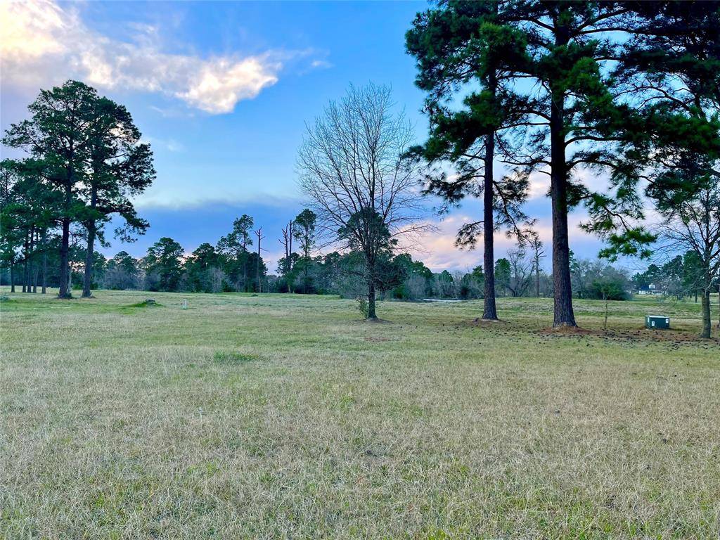 Waller, TX 77484,00000 Birdie LN