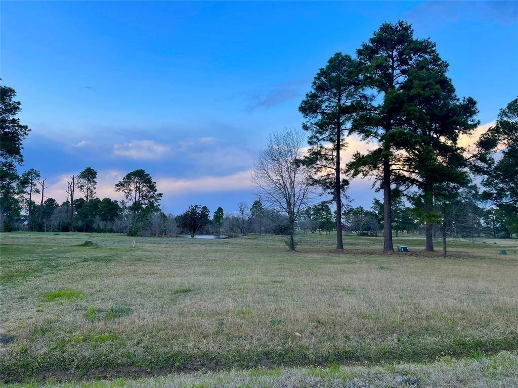 Waller, TX 77484,00000 Birdie LN