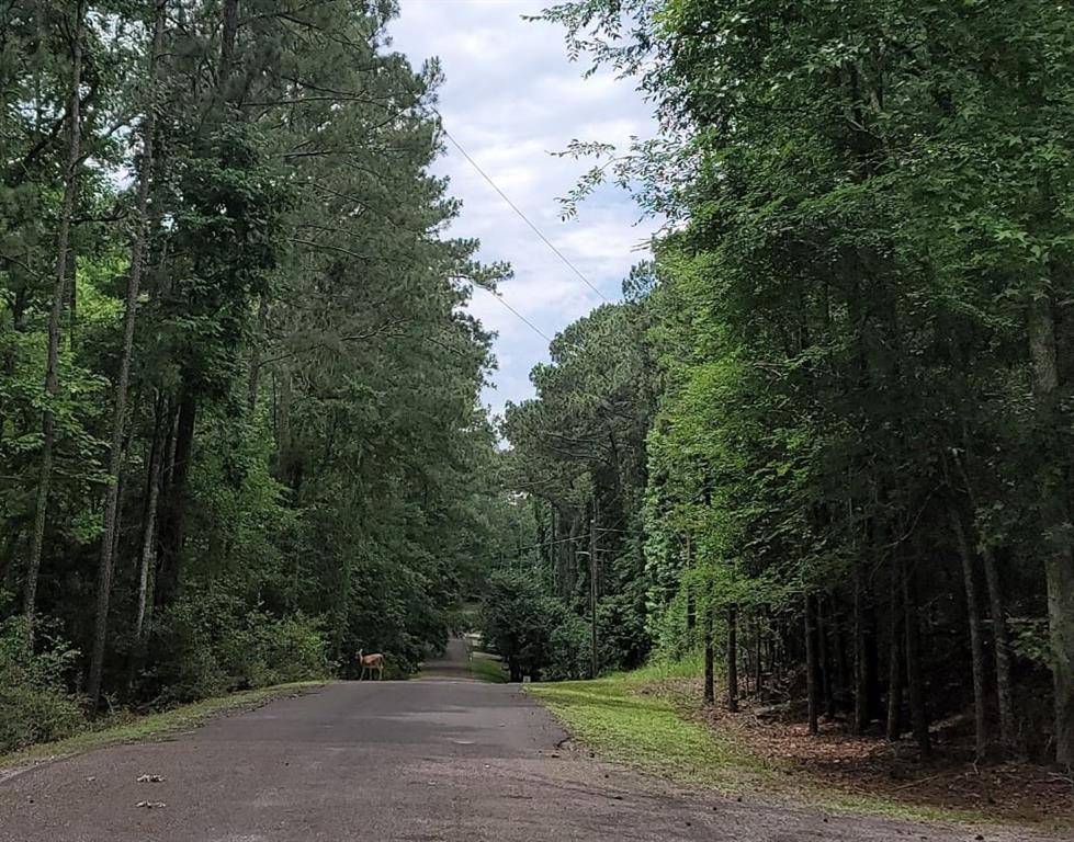 Point Blank, TX 77364,TBD Hickory Circle CIR