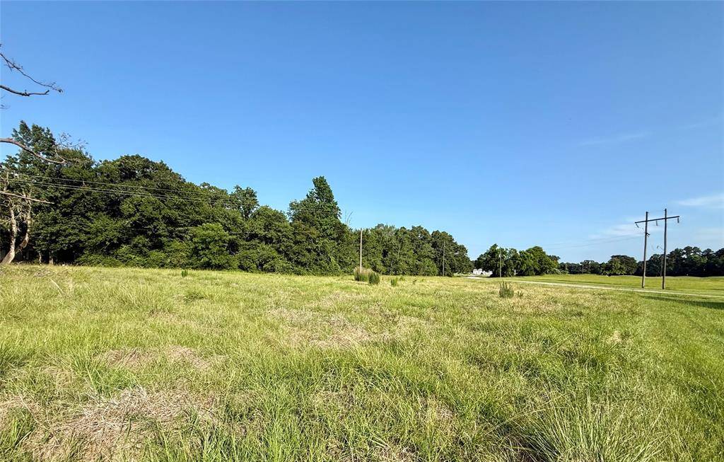 Trinity, TX 75862,TBD Hot Springs DR