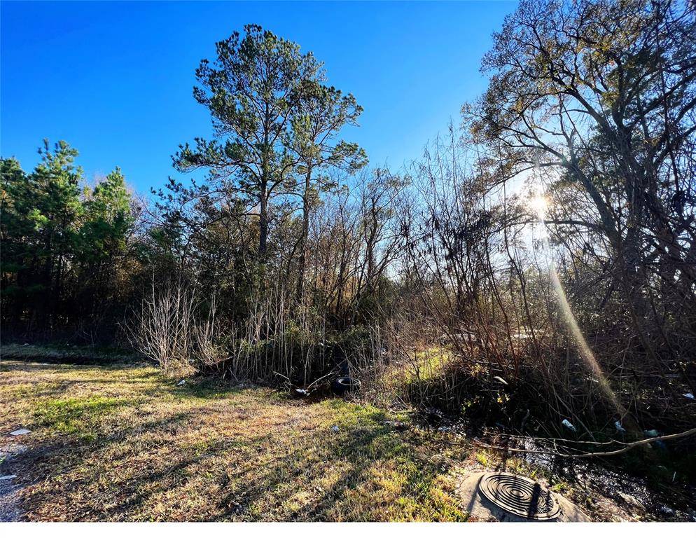 Channelview, TX 77530,00000 Old River RD