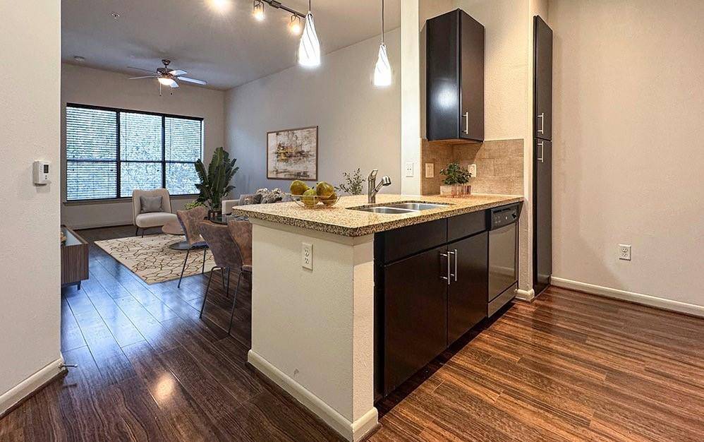 Houston, TX 77006,306 McGowen ST #1116