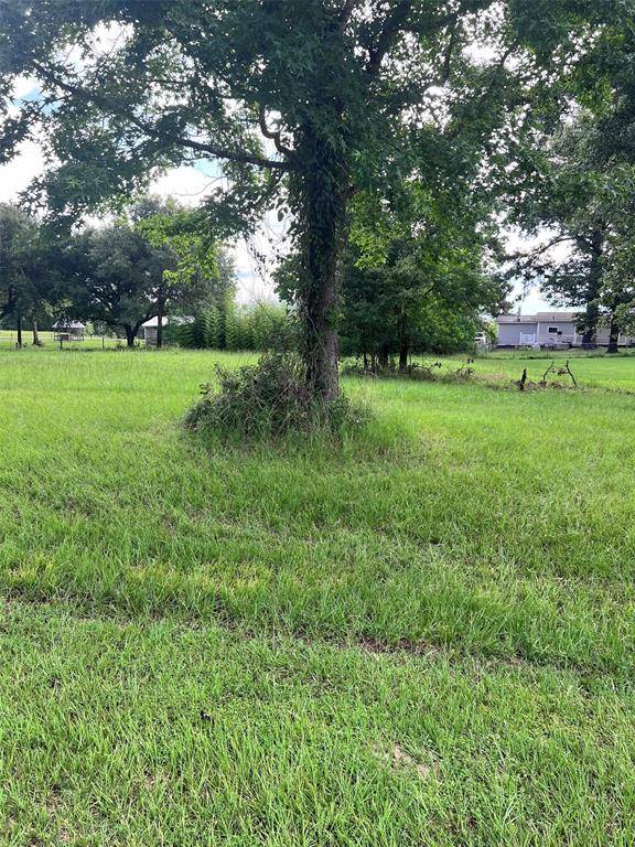 Trinity, TX 75862,TBD Monticello ST