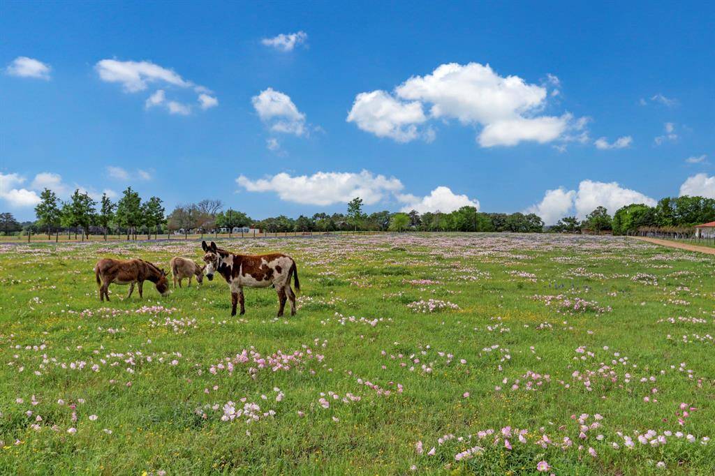 Round Top, TX 78954,400 E Mill Street