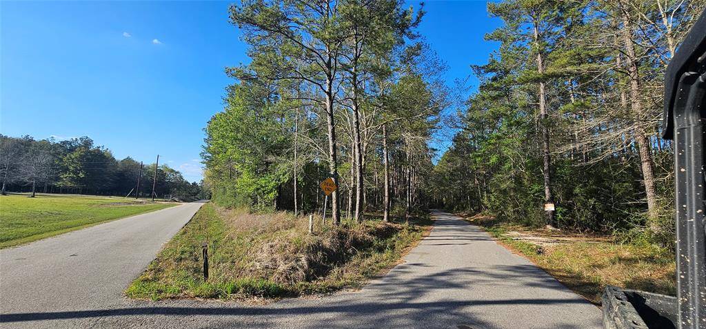 Kountze, TX 77625,0000 Joe Allen Extension