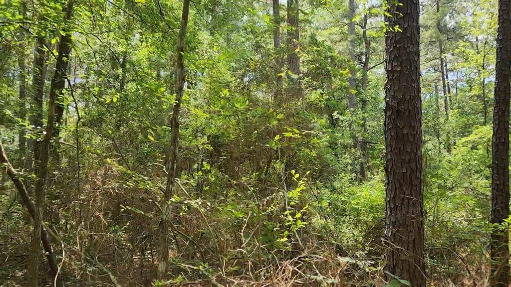 Plantersville, TX 77363,Lot 5 Tallowood DR