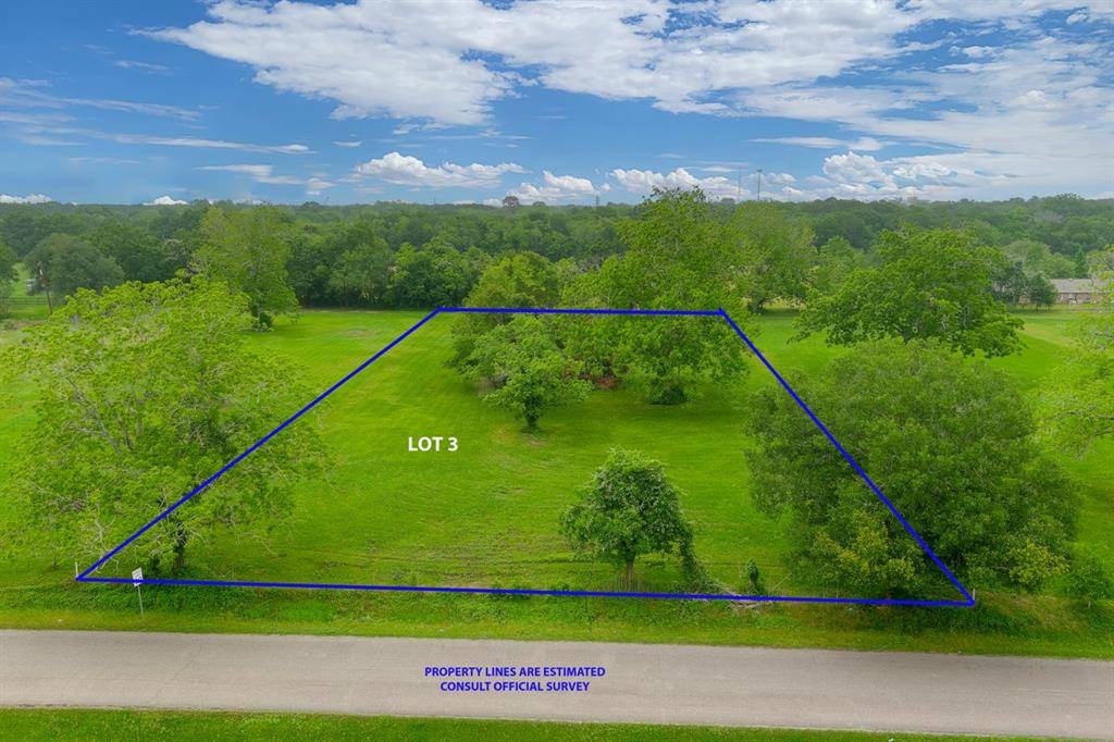 Alvin, TX 77511,2386 Mamie Ford - LOT 3