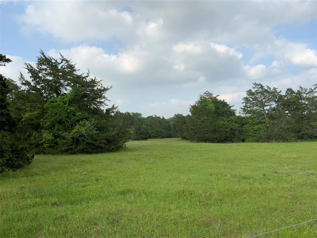 New Ulm, TX 78950,00 Old Laake Lane LN