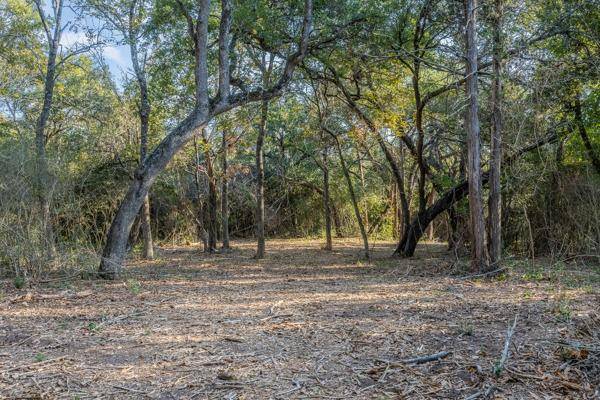 Round Top, TX 78954,TBD Drake Lane-Lot 12