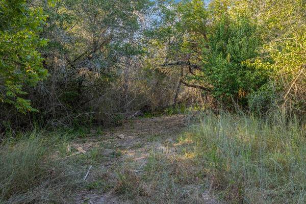 Round Top, TX 78954,TBD Drake Lane-Lot 12