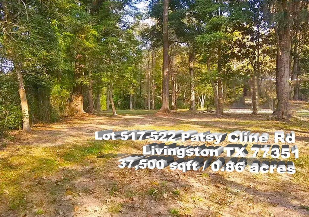 Livingston, TX 77351,Lot 517-522 Patsy Cline RD