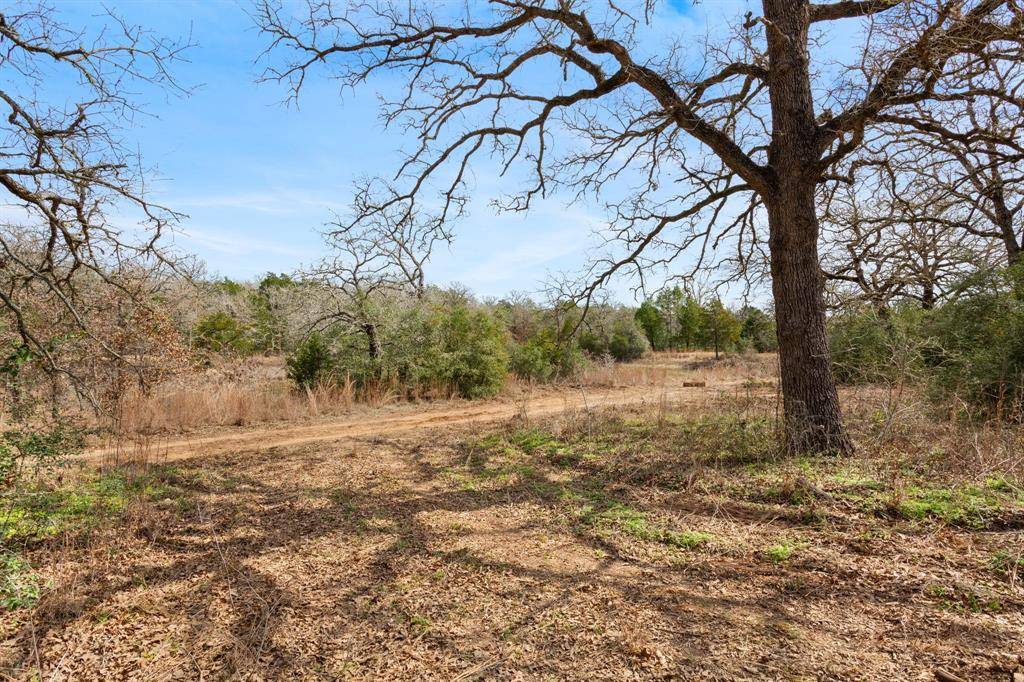 Bastrop, TX 78602,TBD (4.942 Acres) Red Fox LN