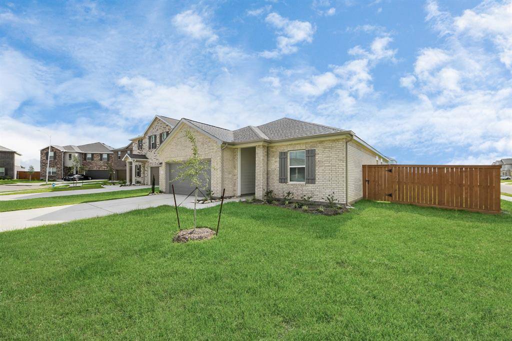 Katy, TX 77493,3056 Sea Turtle
