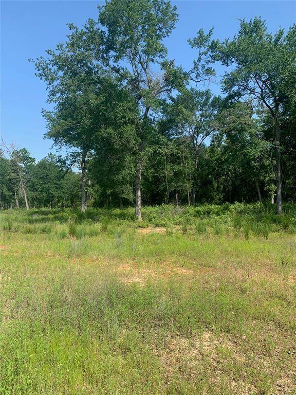 Jewett, TX 75846,Lot 16 CR 389