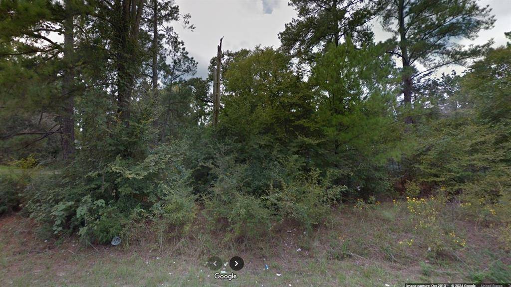 Trinity, TX 75862,0 Trinity Cove Dr DR