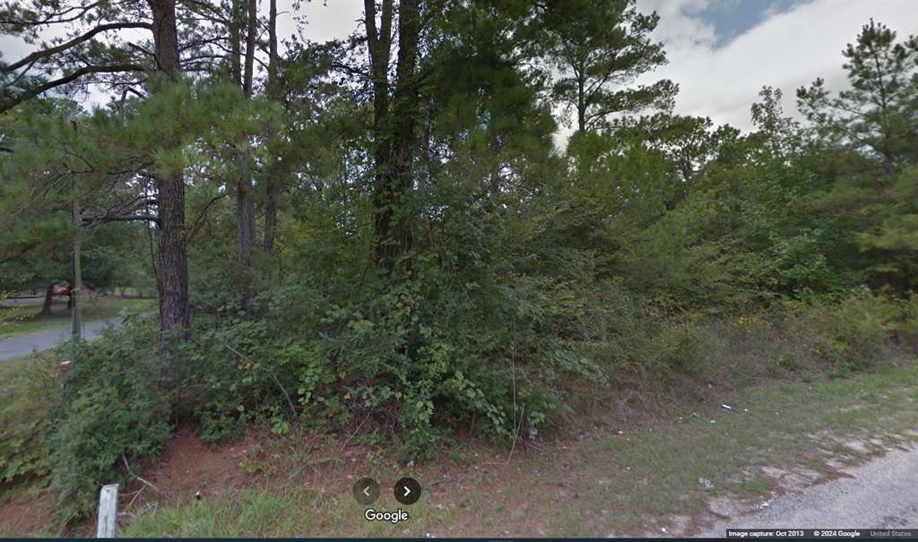 Trinity, TX 75862,0 Trinity Cove Dr DR