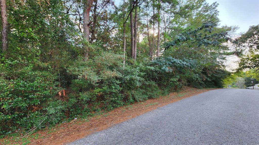 Conroe, TX 77316,Lot 21 Pearl River