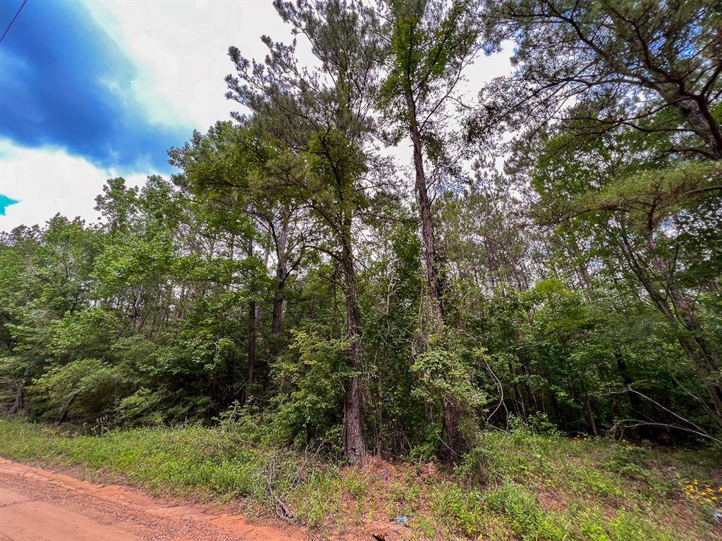 Corrigan, TX 75939,00 Howell RD