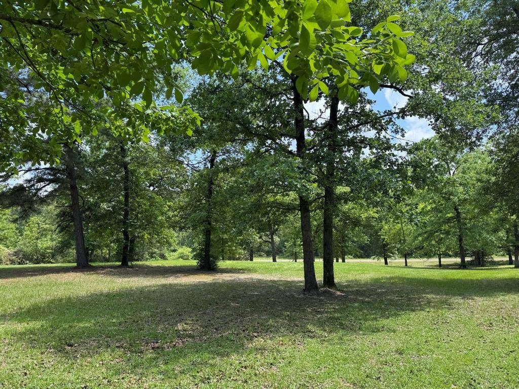 Colmesneil, TX 75938,232 County Road 3255