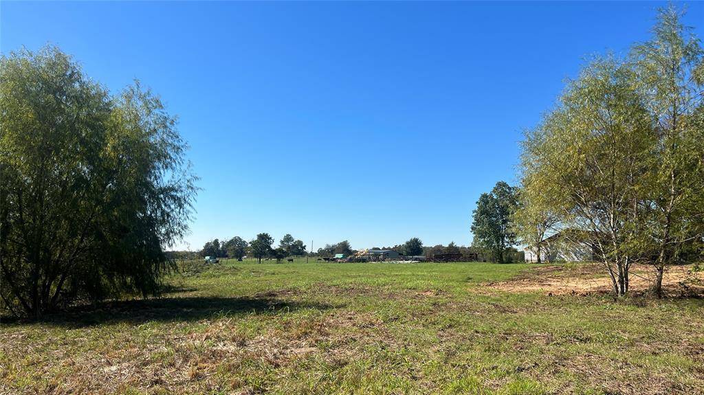 Navasota, TX 77868,Lot 2 CR 319