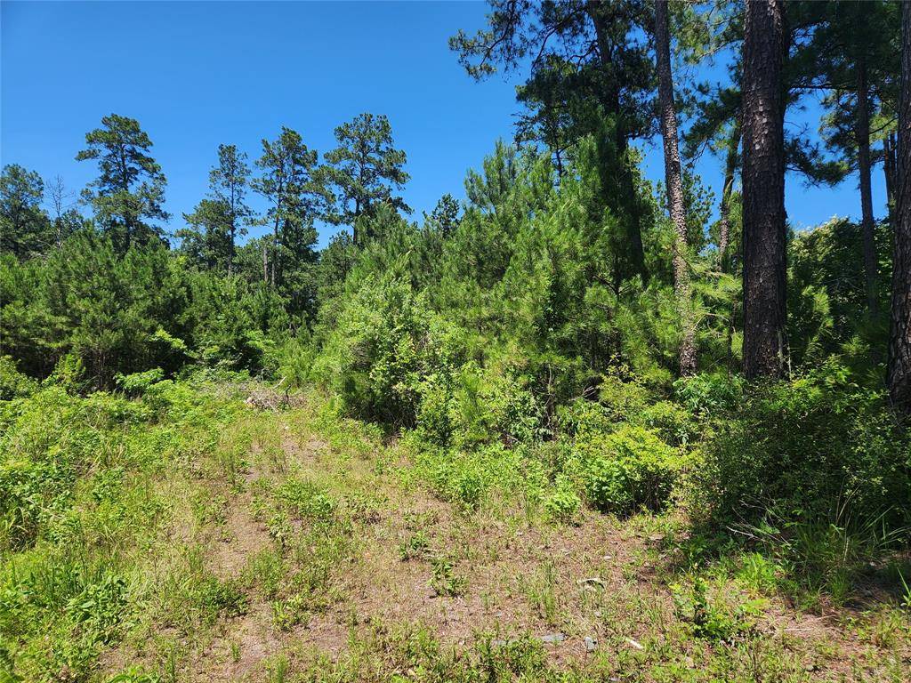 Plantersville, TX 77363,Lot 18 Mulberry DR