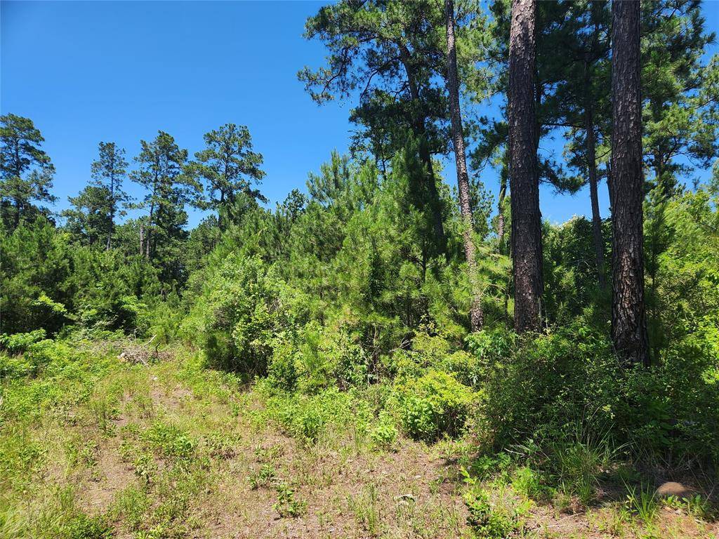 Plantersville, TX 77363,Lot 18 Mulberry DR