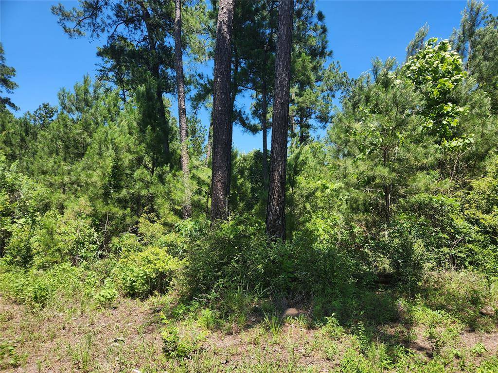 Plantersville, TX 77363,Lot 18 Mulberry DR