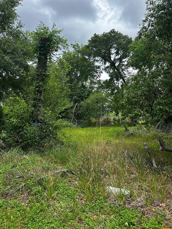 Houston, TX 77091,0 Davidson ST