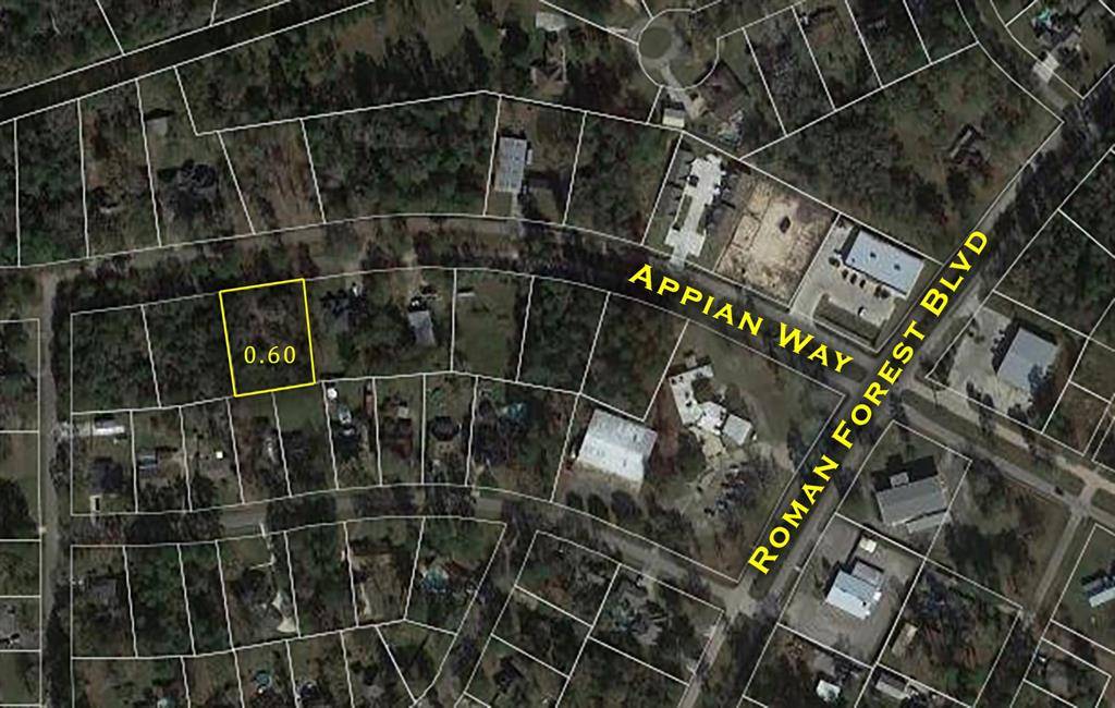 New Caney, TX 77357,G-3 Appian Way