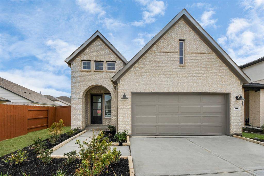 Katy, TX 77493,7314 Blue  Gentiana LN