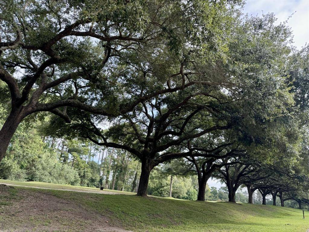 Brookeland, TX 75931,TBD Inglewood DR