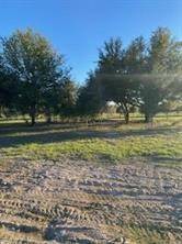 Bedias, TX 77831,3682 Dick Barnes LOOP