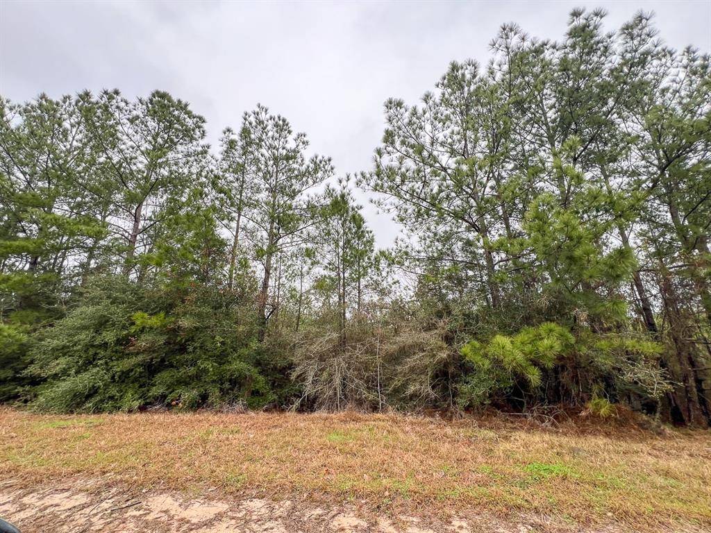 Colmesneil, TX 75938,3 Rec Road 255