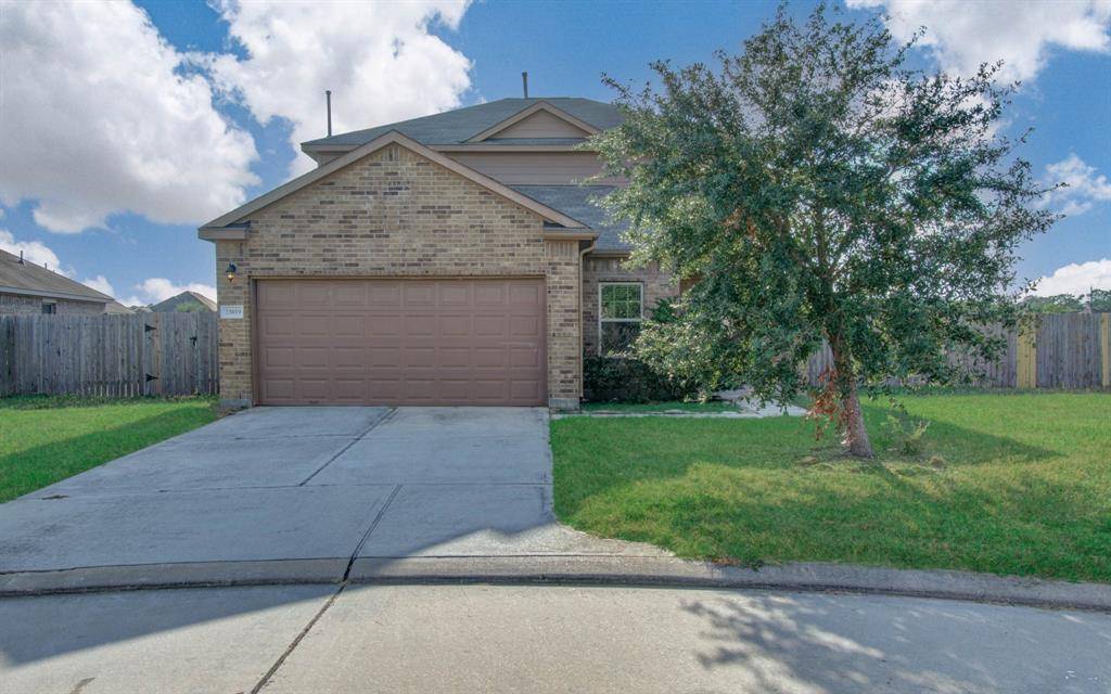 Tomball, TX 77375,23019 Striped Maple CT