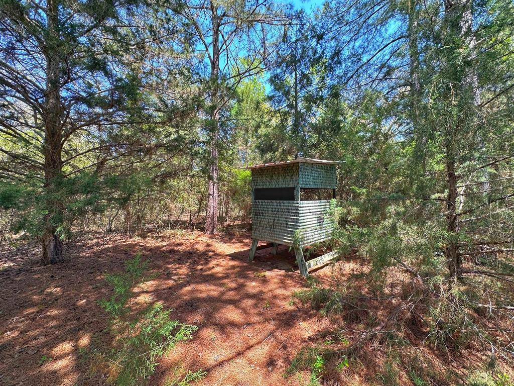 Centerville, TX 75833,8 ac CR 1464