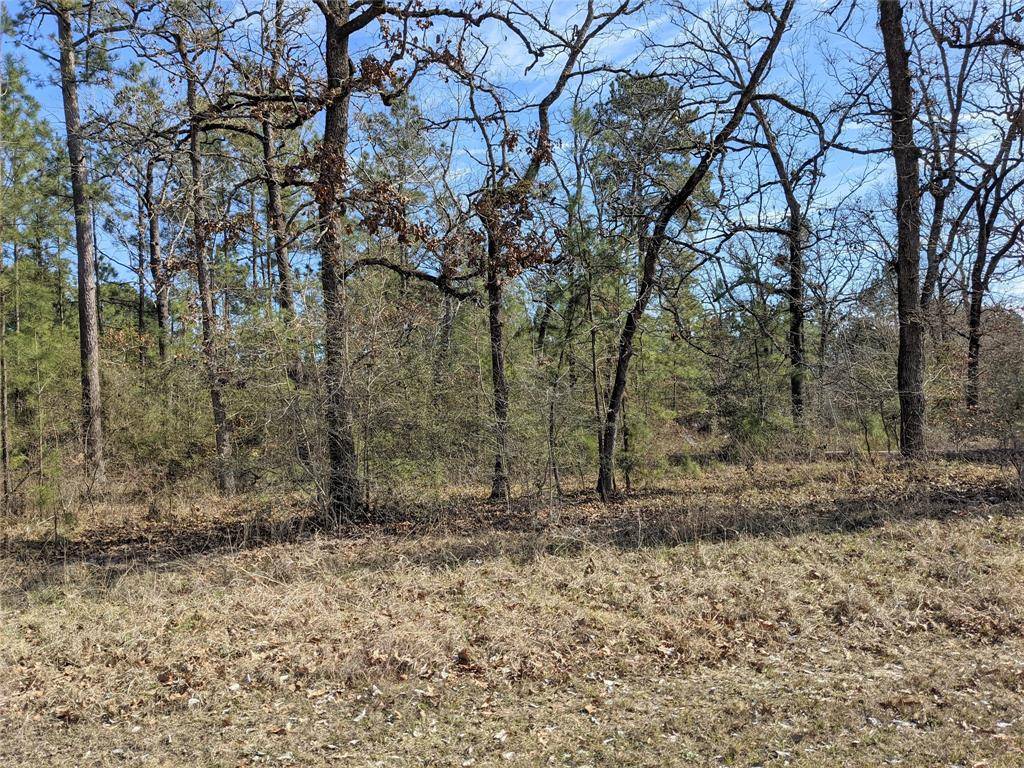 Huntsville, TX 77320,TBD Mary - Lot 511 DR