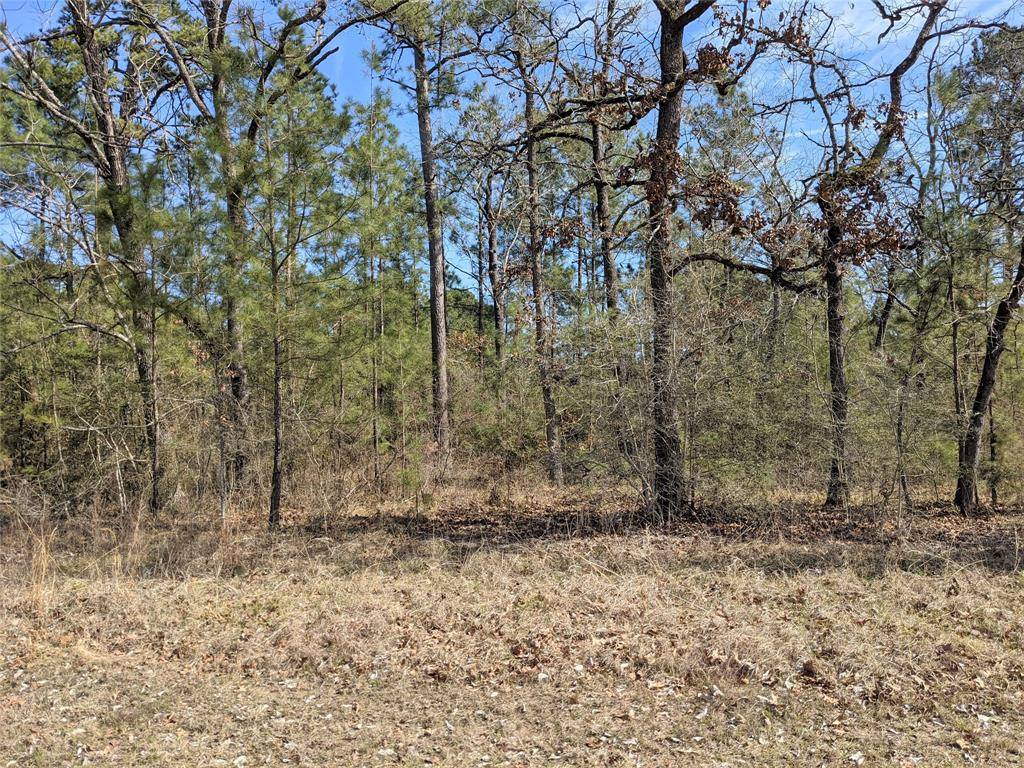 Huntsville, TX 77320,TBD Mary - Lot 511 DR