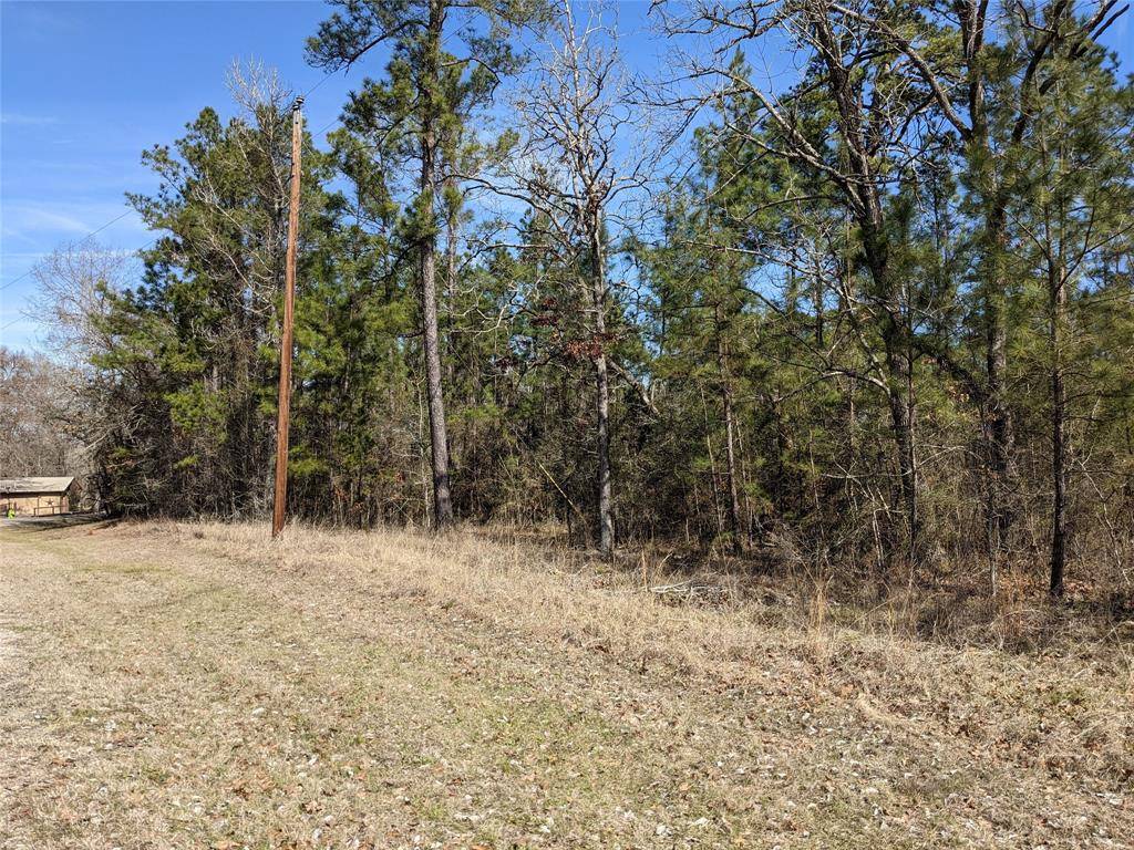 Huntsville, TX 77320,TBD Mary - Lot 511 DR