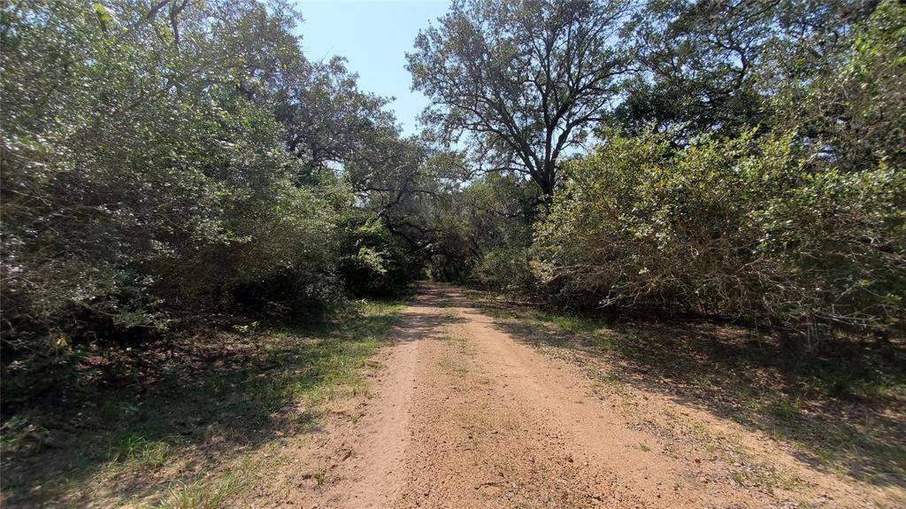 Columbus, TX 78934,165.3 acres Walnut ST