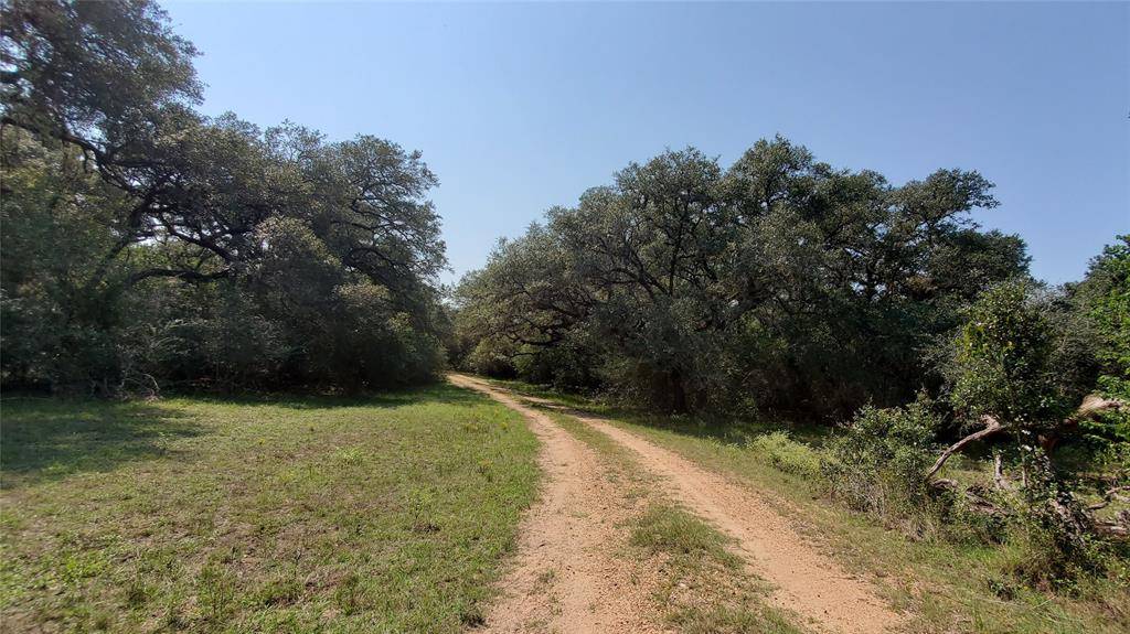 Columbus, TX 78934,165.3 acres Walnut ST