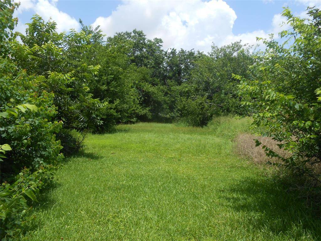 Houston, TX 77051,1118 Elberta ST