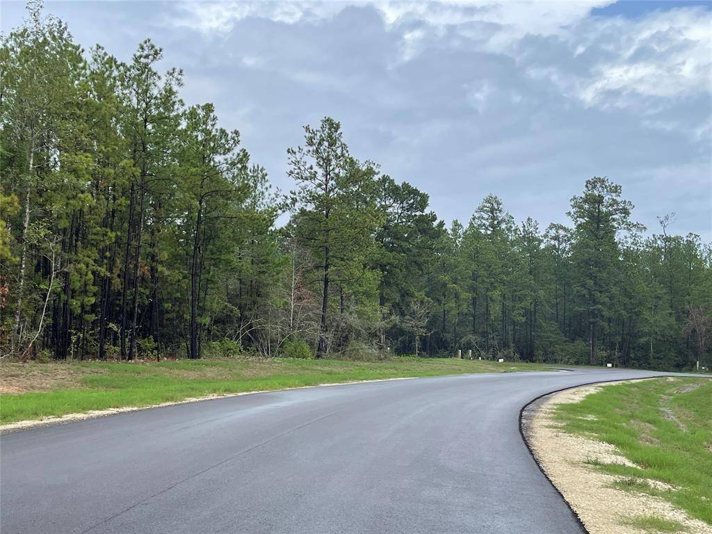 New Waverly, TX 77358,157 Gypsum RD